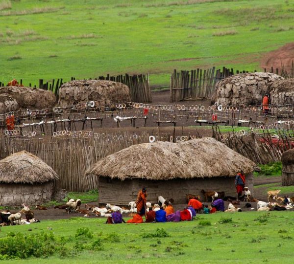 5 Days Kilimanjaro & Arusha National Park with Mto wa Mbu